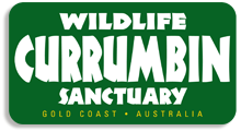 Currumbin Wildlife Sanctuary discount codes