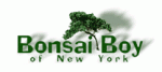 Bonsai Boy discount codes